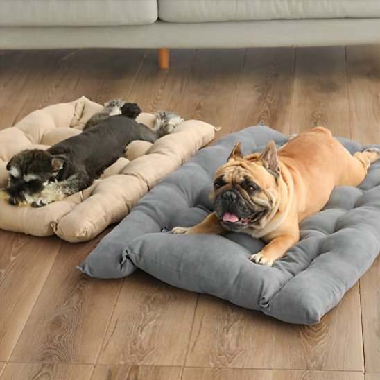 Deux chiens allongés chacun sur un coussin chien comfort durable