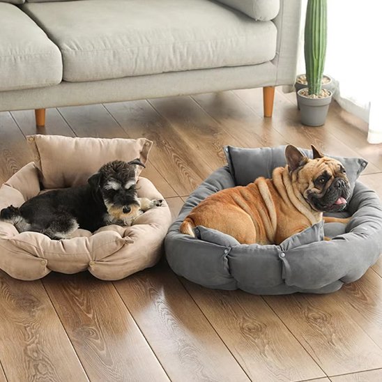 Deux chiens couchés chacun sur un coussin chien comfort durable