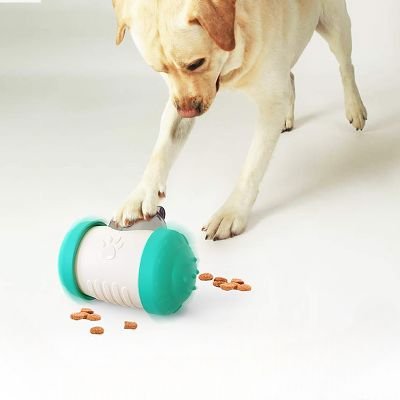 Distributeur de Croquettes pour Chien - BrainChase™ - Bleu - Gamelle et Cie pour Chien