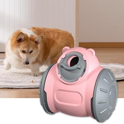 Distributeur de Croquettes pour Chien - BrainChase™ - Rose - Gamelle et Cie pour Chien