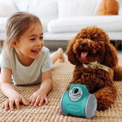 Distributeur de Croquettes pour Chien - BrainChase™ - Turquoise - Gamelle et Cie pour Chien
