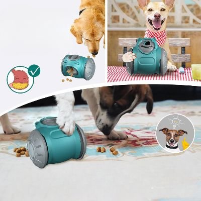 Distributeur de Croquettes pour Chien - BrainChase™ - Turquoise - Gamelle et Cie pour Chien
