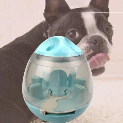 Distributeur de Croquettes pour Chien - FeedMaze™ - Bleu - Gamelle et Cie pour Chien