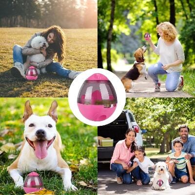Distributeur de Croquettes pour Chien - FeedMaze™ - Rose - Gamelle et Cie pour Chien