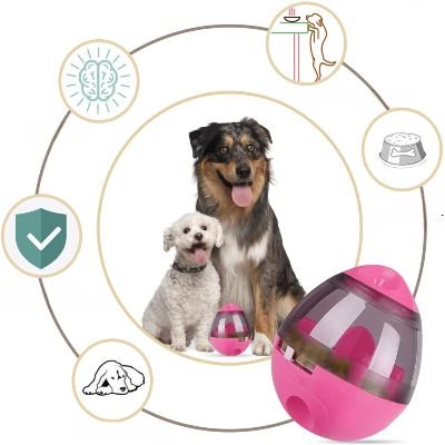 Distributeur de Croquettes pour Chien - FeedMaze™ - Rose - Gamelle et Cie pour Chien