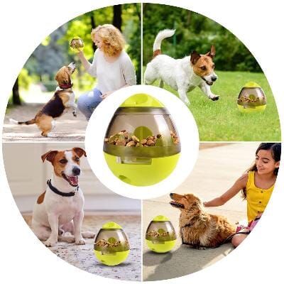 Distributeur de Croquettes pour Chien - FeedMaze™ - Vert - Gamelle et Cie pour Chien