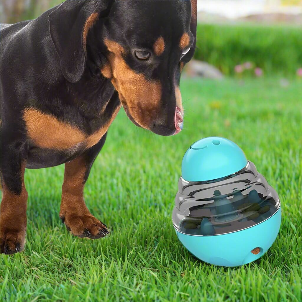 Distributeur de Croquettes pour Chien - SlowFeederDog™ - Turquoise - Gamelle et Cie pour Chien