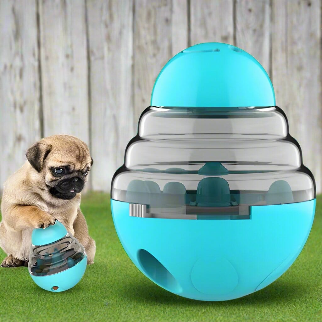 Distributeur de Croquettes pour Chien - SlowFeederDog™ - Turquoise - Gamelle et Cie pour Chien