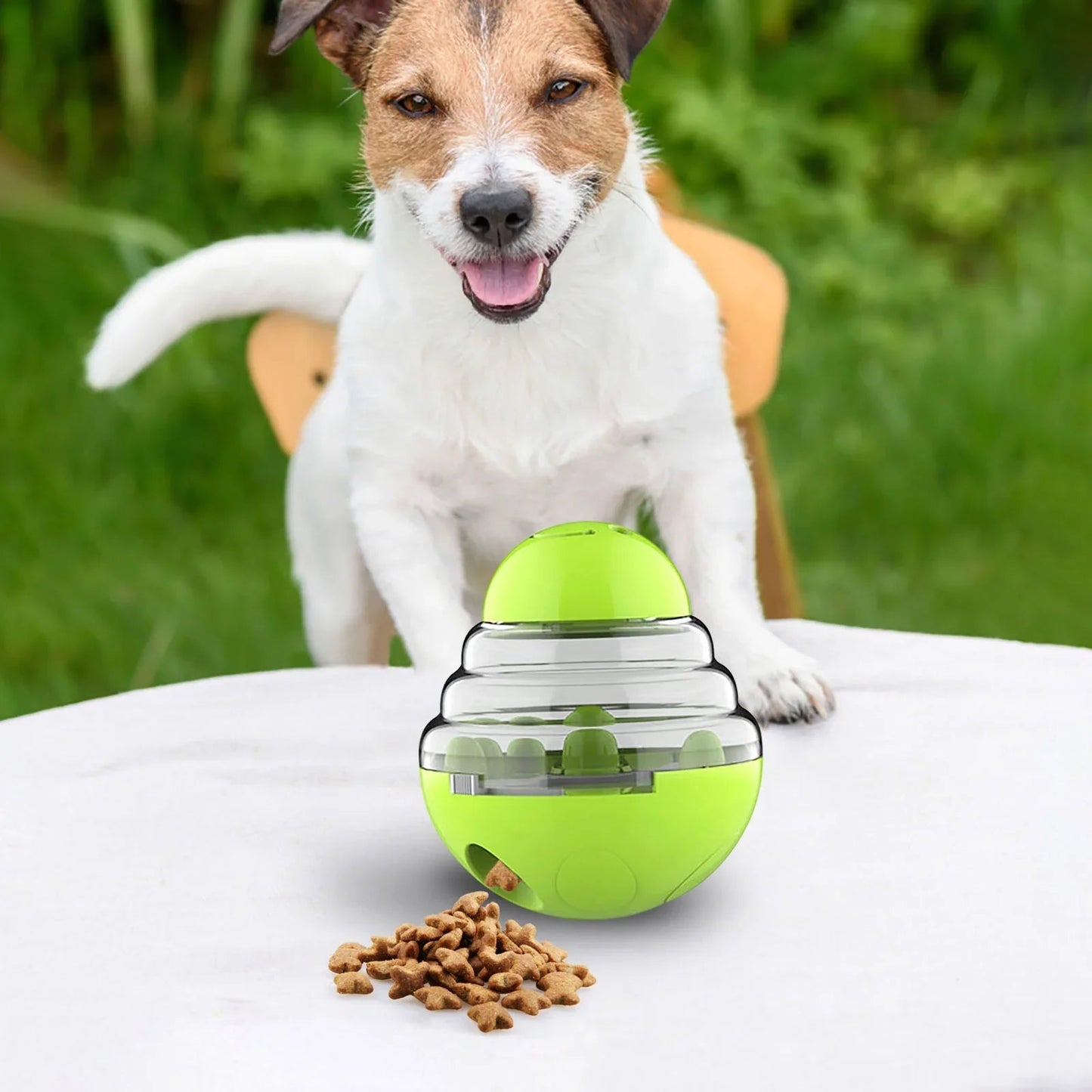 Distributeur de Croquettes pour Chien - SlowFeederDog™ - Vert - Gamelle et Cie pour Chien