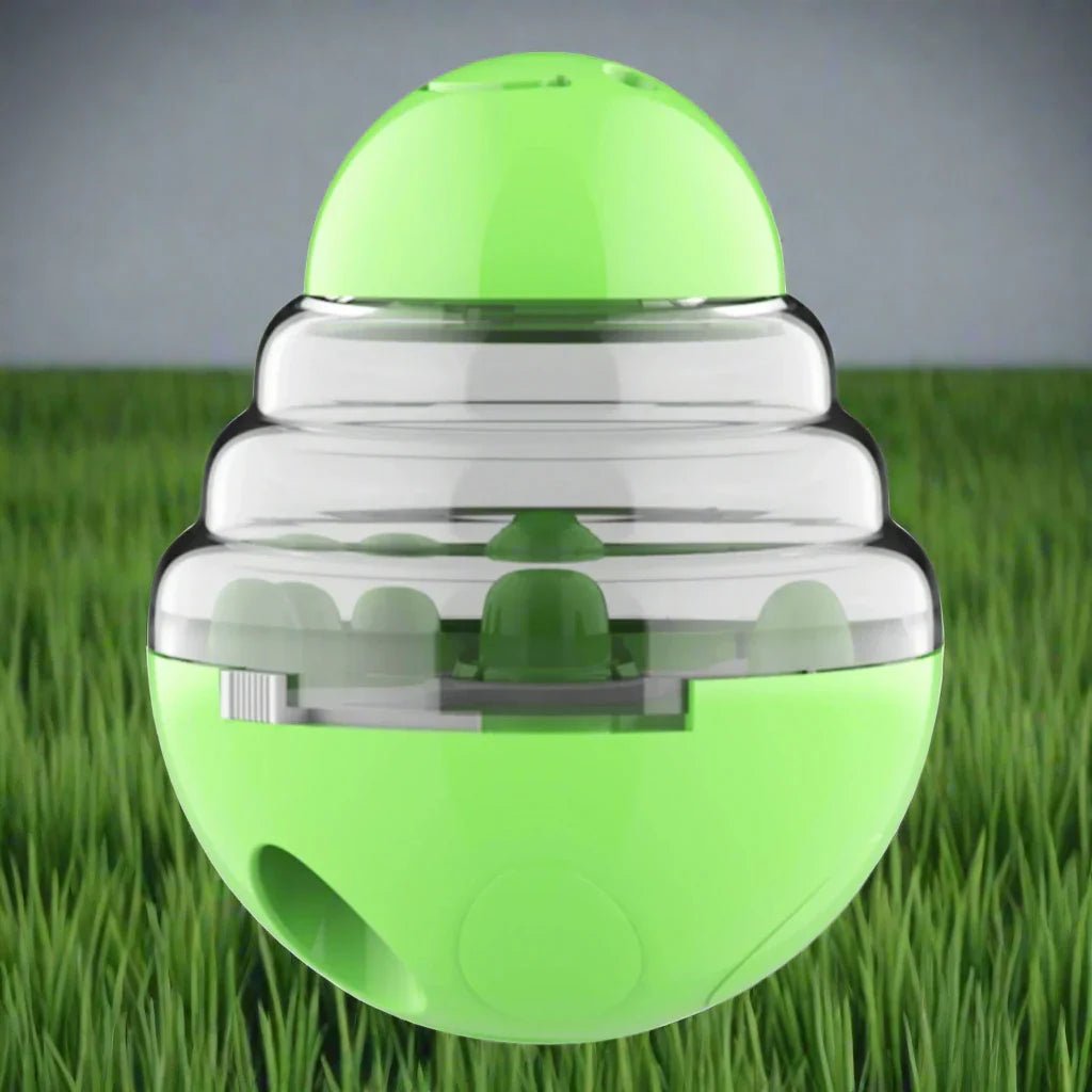 Distributeur de Croquettes pour Chien - SlowFeederDog™ - Vert - Gamelle et Cie pour Chien
