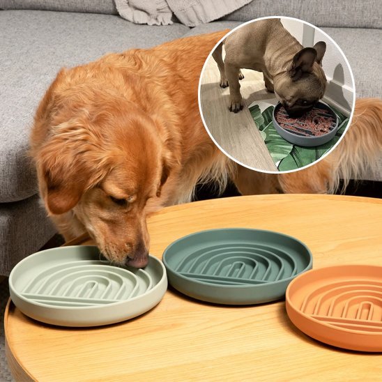 Gamelle anti glouton chien | Digestive Plus - Gamelle et Cie pour Chien