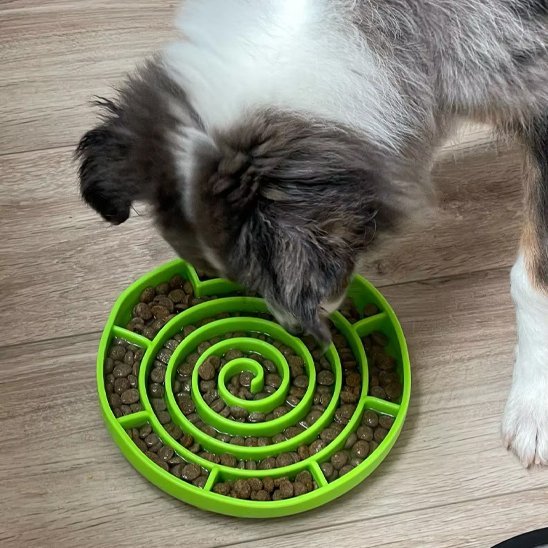 Gamelle anti glouton chien | Digestive Plus - Gamelle et Cie pour Chien