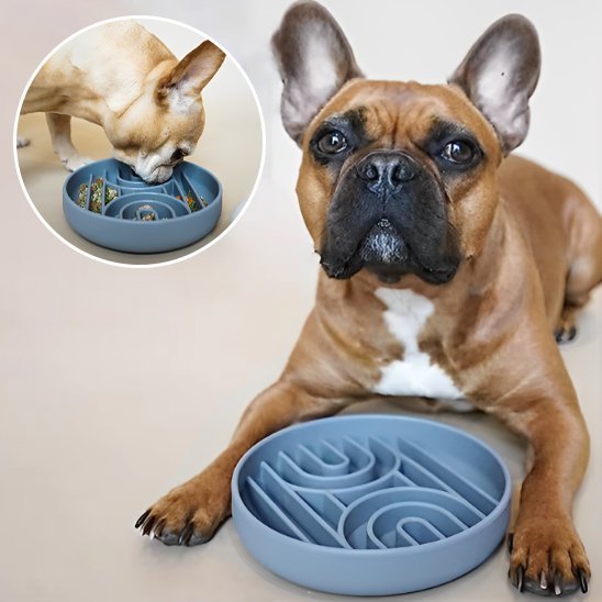 Gamelle anti glouton chien | Digestive Plus - Gamelle et Cie pour Chien