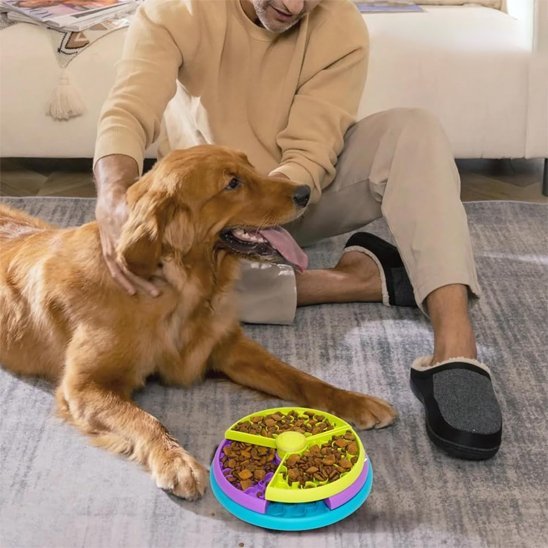 Gamelle anti glouton chien | Digestivet - Gamelle et Cie pour Chien