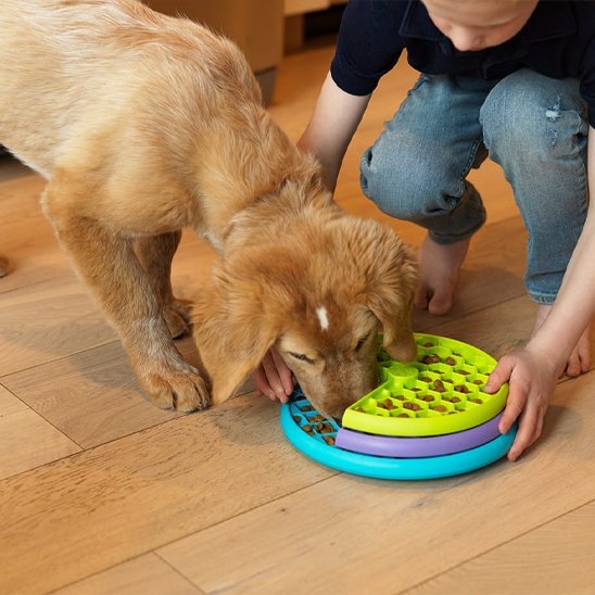 Gamelle anti glouton chien | Digestivet - Gamelle et Cie pour Chien