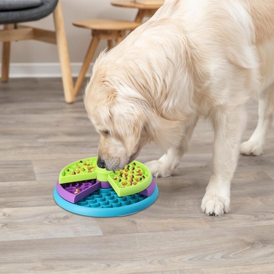 Gamelle anti glouton chien | Digestivet - Gamelle et Cie pour Chien
