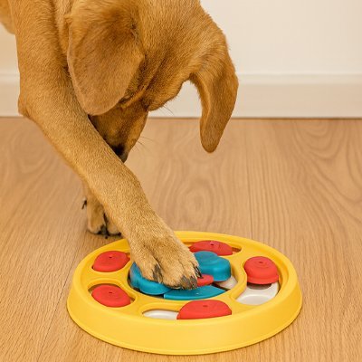 Gamelle anti glouton Chien | PetSlow - Gamelle et Cie pour Chien