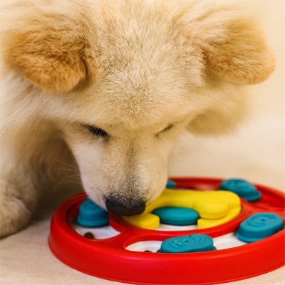 Gamelle anti glouton Chien | PetSlow - Gamelle et Cie pour Chien