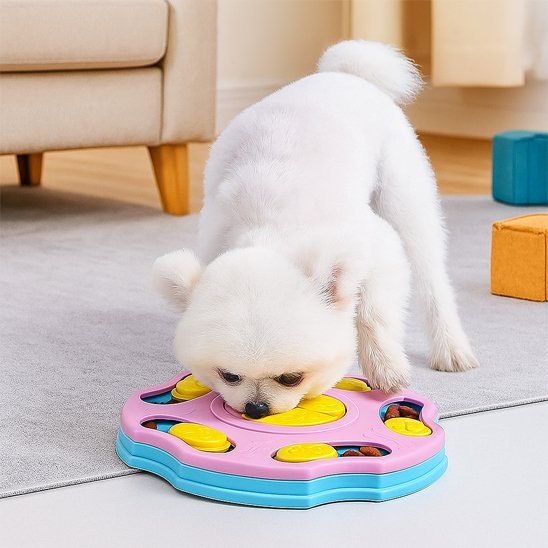 Gamelle anti glouton chien | PetSmart - Gamelle et Cie pour Chien