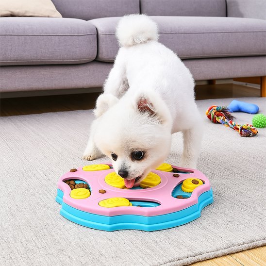 Gamelle anti glouton chien | PetSmart - Gamelle et Cie pour Chien