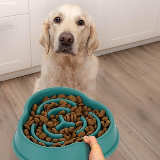Gamelle anti glouton chien | SlowBowl - Gamelle et Cie pour Chien