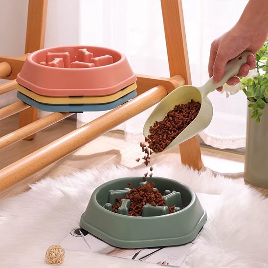Gamelle anti glouton chien | SlowBowl - Gamelle et Cie pour Chien