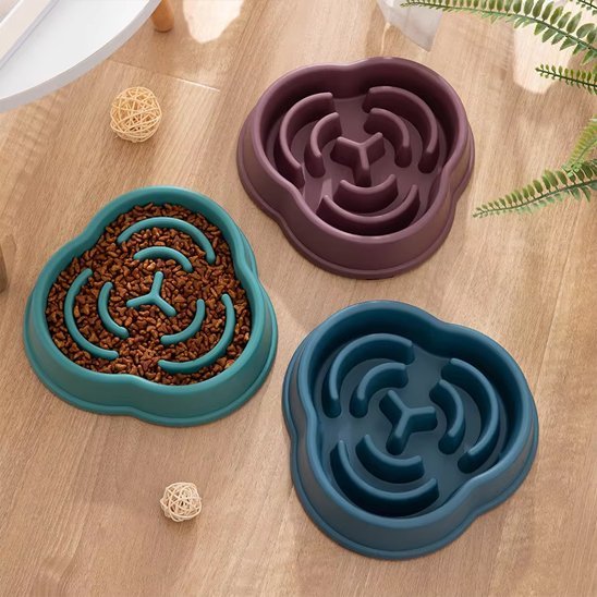 Gamelle anti glouton chien | SlowBowl - Gamelle et Cie pour Chien