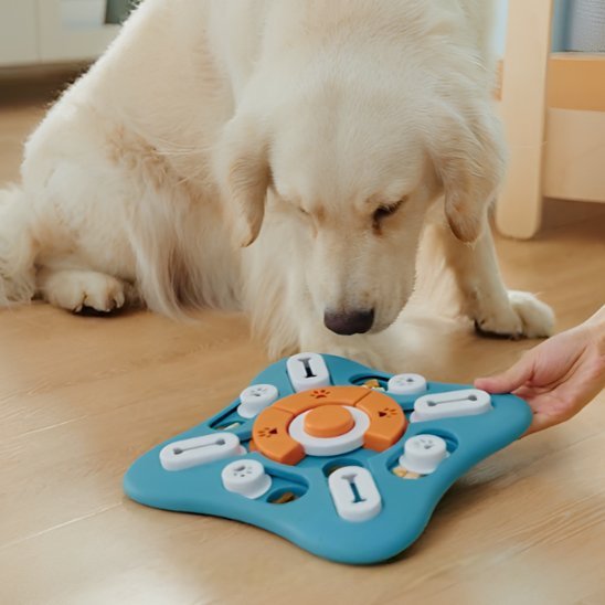 Gamelle anti glouton chien | StarSlowEat - Gamelle et Cie pour Chien