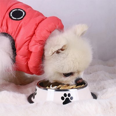 Gamelle Chien | Anti - dérapante Inox - Gamelle et Cie pour Chien