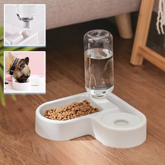 Gamelle chien | Double fonction automatique - Gamelle et Cie pour Chien