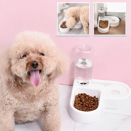 Gamelle chien | Double fonction automatique - Gamelle et Cie pour Chien