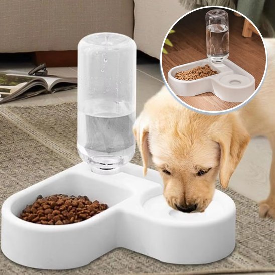Gamelle chien | Double fonction automatique - Gamelle et Cie pour Chien