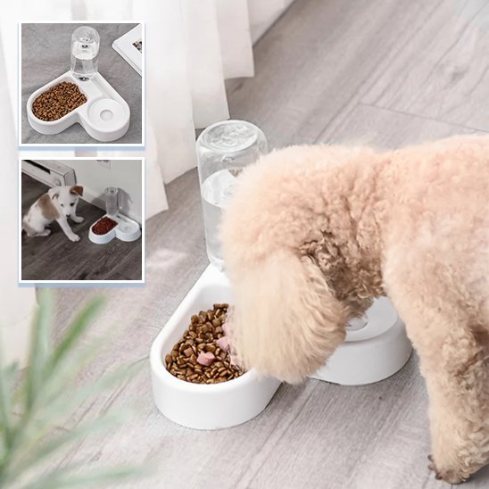 Gamelle chien | Double fonction automatique - Gamelle et Cie pour Chien