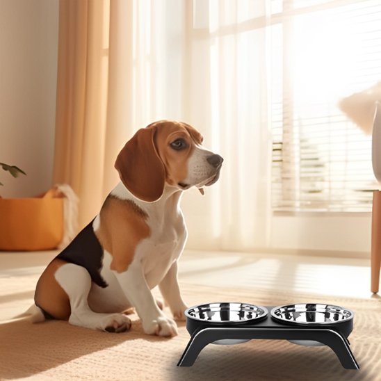 Gamelle chien | Surélevée Double Inox - Gamelle et Cie pour Chien
