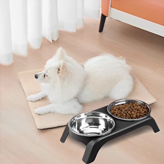Gamelle chien | Surélevée Double Inox - Gamelle et Cie pour Chien
