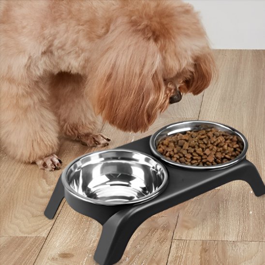 Gamelle chien | Surélevée Double Inox - Gamelle et Cie pour Chien