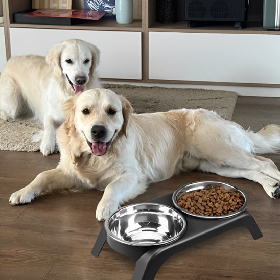 Gamelle chien | Surélevée Double Inox - Gamelle et Cie pour Chien