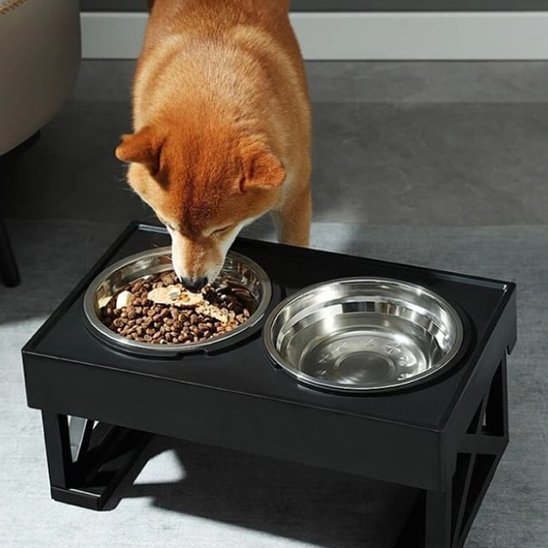 Gamelle chien | Surélevée Premium - Gamelle et Cie pour Chien