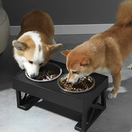 Gamelle chien | Surélevée Premium - Gamelle et Cie pour Chien