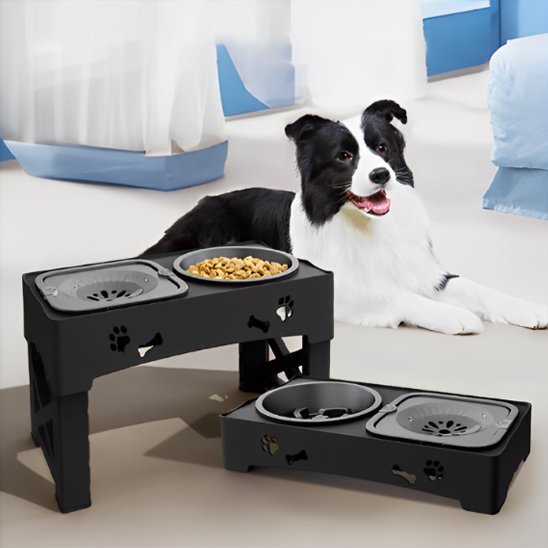 Gamelle chien | Surélevée Pro - Gamelle et Cie pour Chien