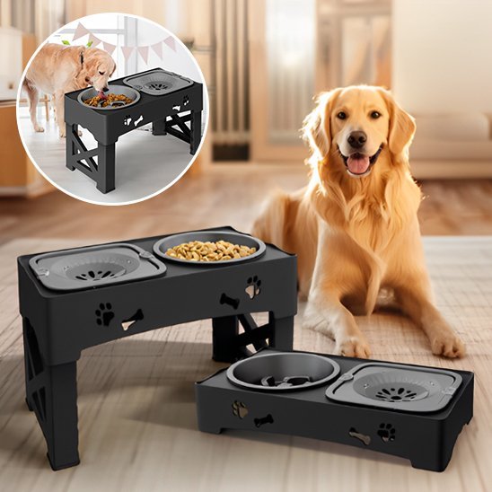 Gamelle chien | Surélevée Pro - Gamelle et Cie pour Chien