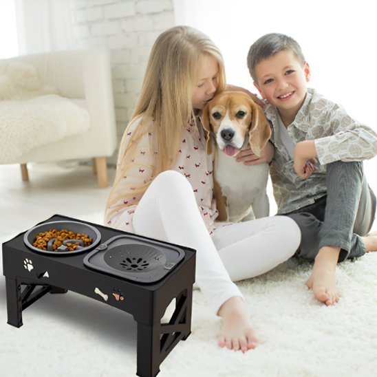 Gamelle chien | Surélevée Pro - Gamelle et Cie pour Chien