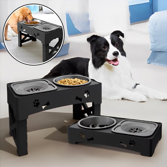 Gamelle chien | Surélevée Pro - Gamelle et Cie pour Chien