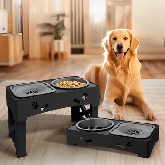 Gamelle chien | Surélevée Pro - Gamelle et Cie pour Chien