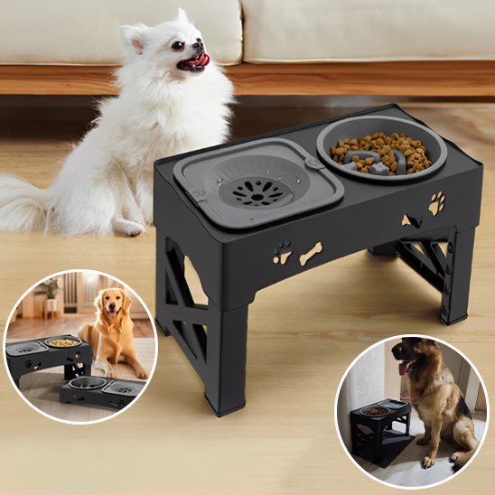 Gamelle chien | Surélevée Pro - Gamelle et Cie pour Chien