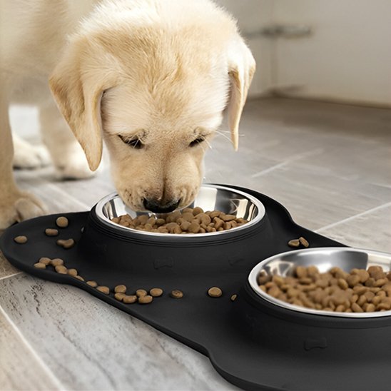 chiot Labrador mange des croquettes dans une double gamelle pour chien anti-débordement