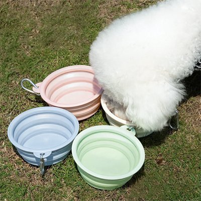 Bichon Frisé buvant dans une gamelle pour chien pliable en silicone parmi plusieurs bols de voyage pastel