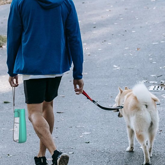 Gourde chien | 2 - en - 1 avec abreuvoir intégré - Gamelle et Cie pour Chien