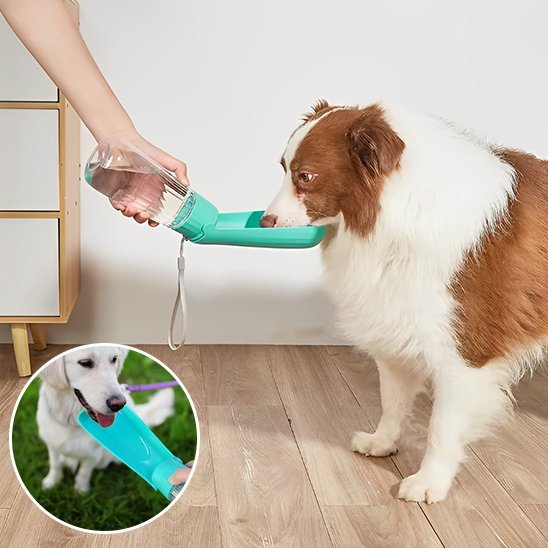 Gourde chien | 2 - en - 1 avec abreuvoir intégré - Gamelle et Cie pour Chien