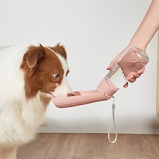 Gourde chien | 2 - en - 1 avec abreuvoir intégré - Gamelle et Cie pour Chien